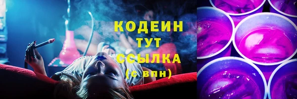 дмт Няндома
