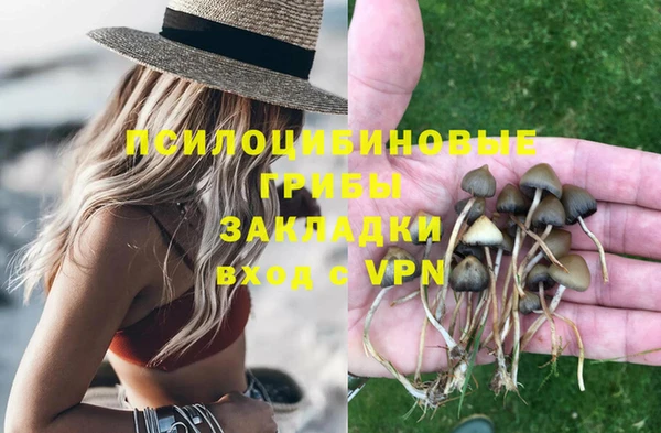 прущая мука Нягань
