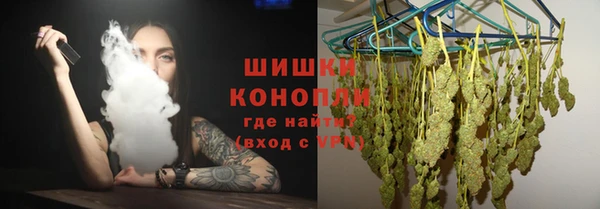 индика Новодвинск