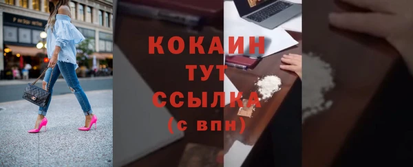 дмт Няндома