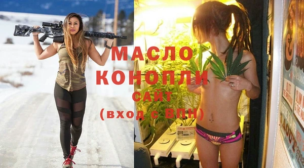 дмт Няндома