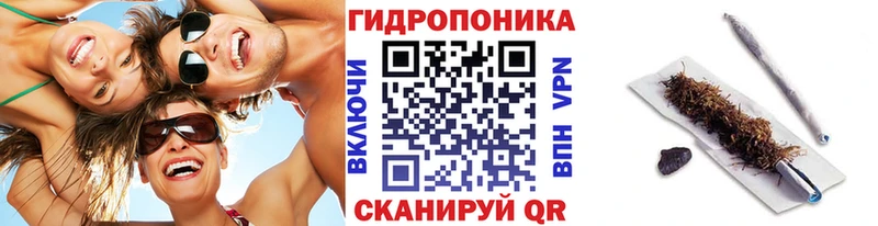 купить закладку  Инта  Бошки Шишки VHQ 